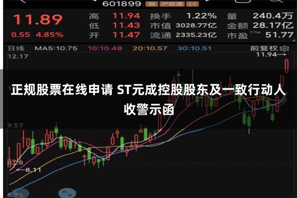 正规股票在线申请 ST元成控股股东及一致行动人收警示函