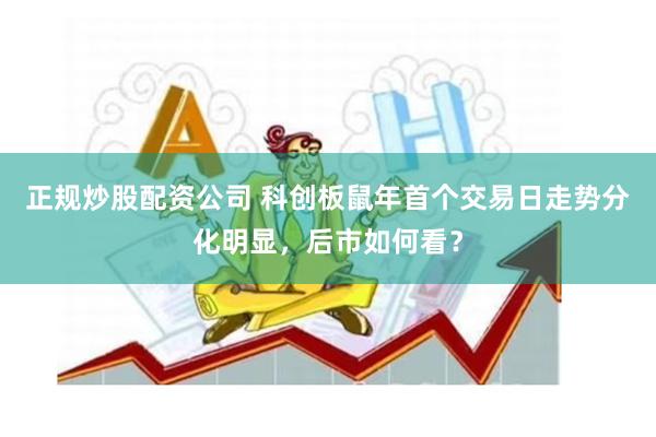 正规炒股配资公司 科创板鼠年首个交易日走势分化明显，后市如何看？