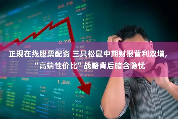 正规在线股票配资 三只松鼠中期财报营利双增, “高端性价比”战略背后暗含隐忧