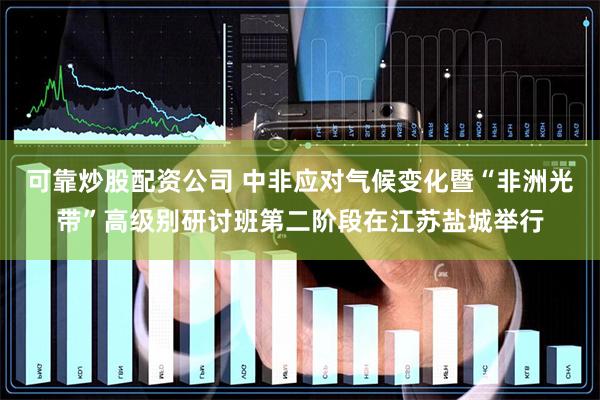 可靠炒股配资公司 中非应对气候变化暨“非洲光带”高级别研讨班第二阶段在江苏盐城举行